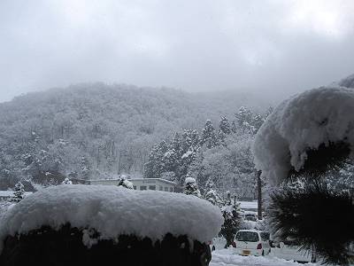 IMG_2418-s.JPG