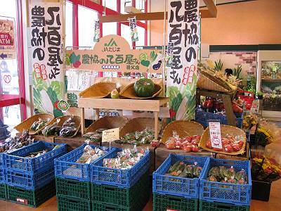 IMG_2637-s.JPG