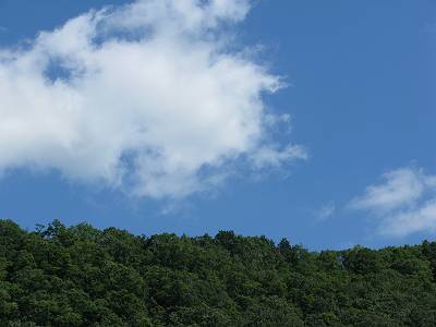 IMG_2641-s.JPG