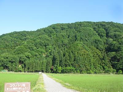 IMG_4026-s.JPG