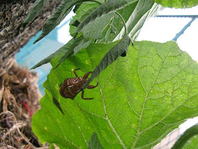 IMG_7560-s.JPG