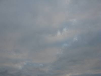 IMG_7743-s.JPG
