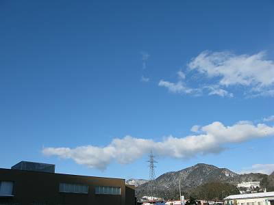 IMG_8029-s.JPG