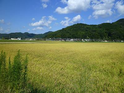 P1000978-s.JPG