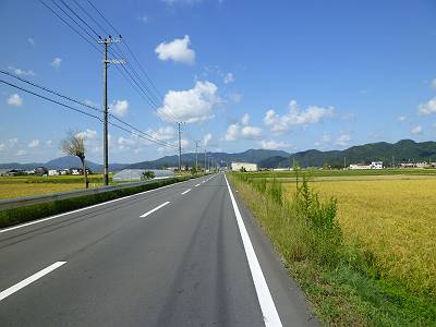 P1000981-s.JPG
