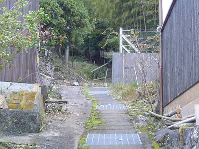 P1010137-s.JPG