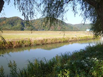 P1010139-s.JPG