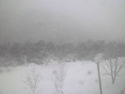 P1010335-s.JPG