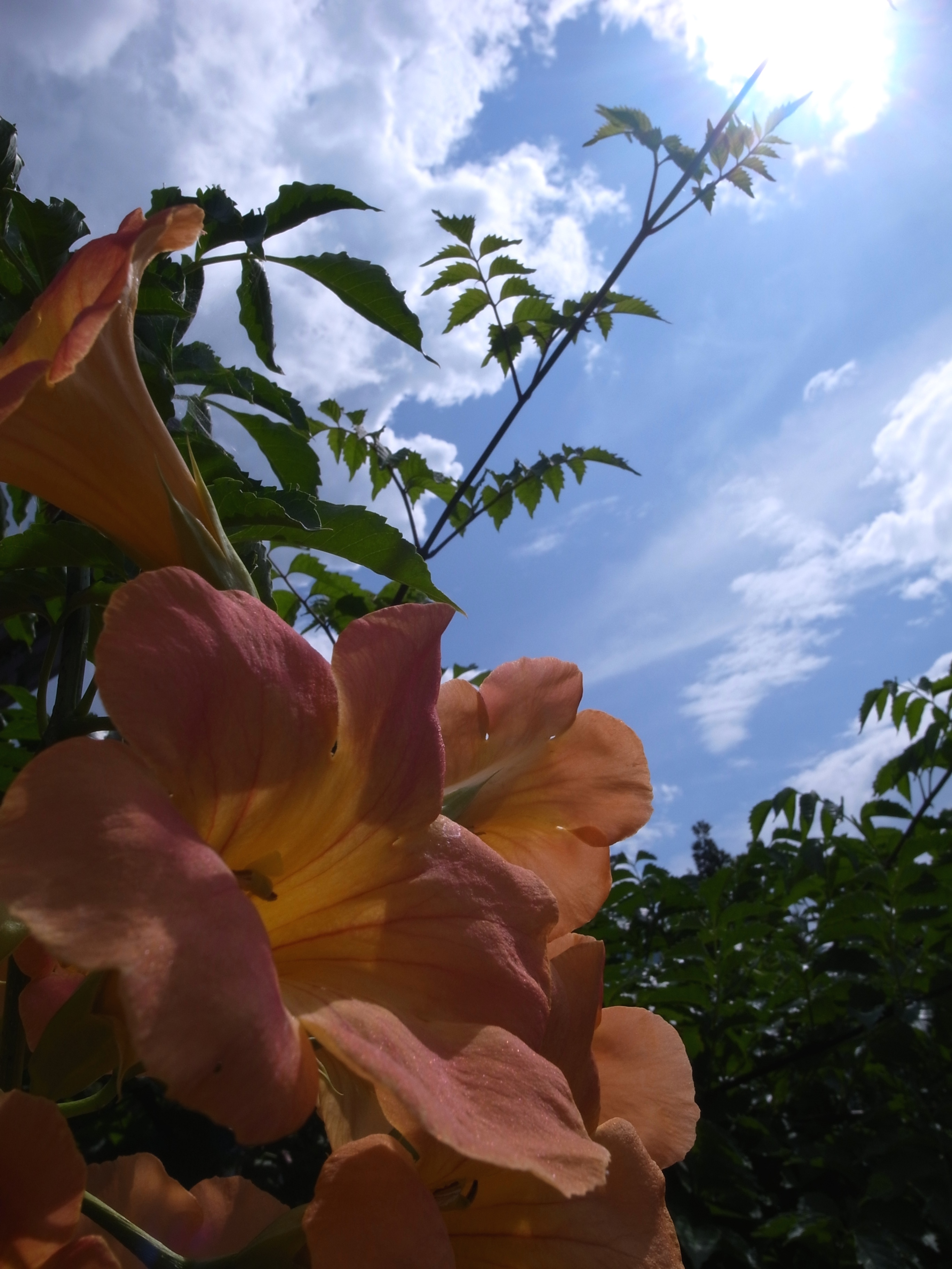 R0013338.JPG