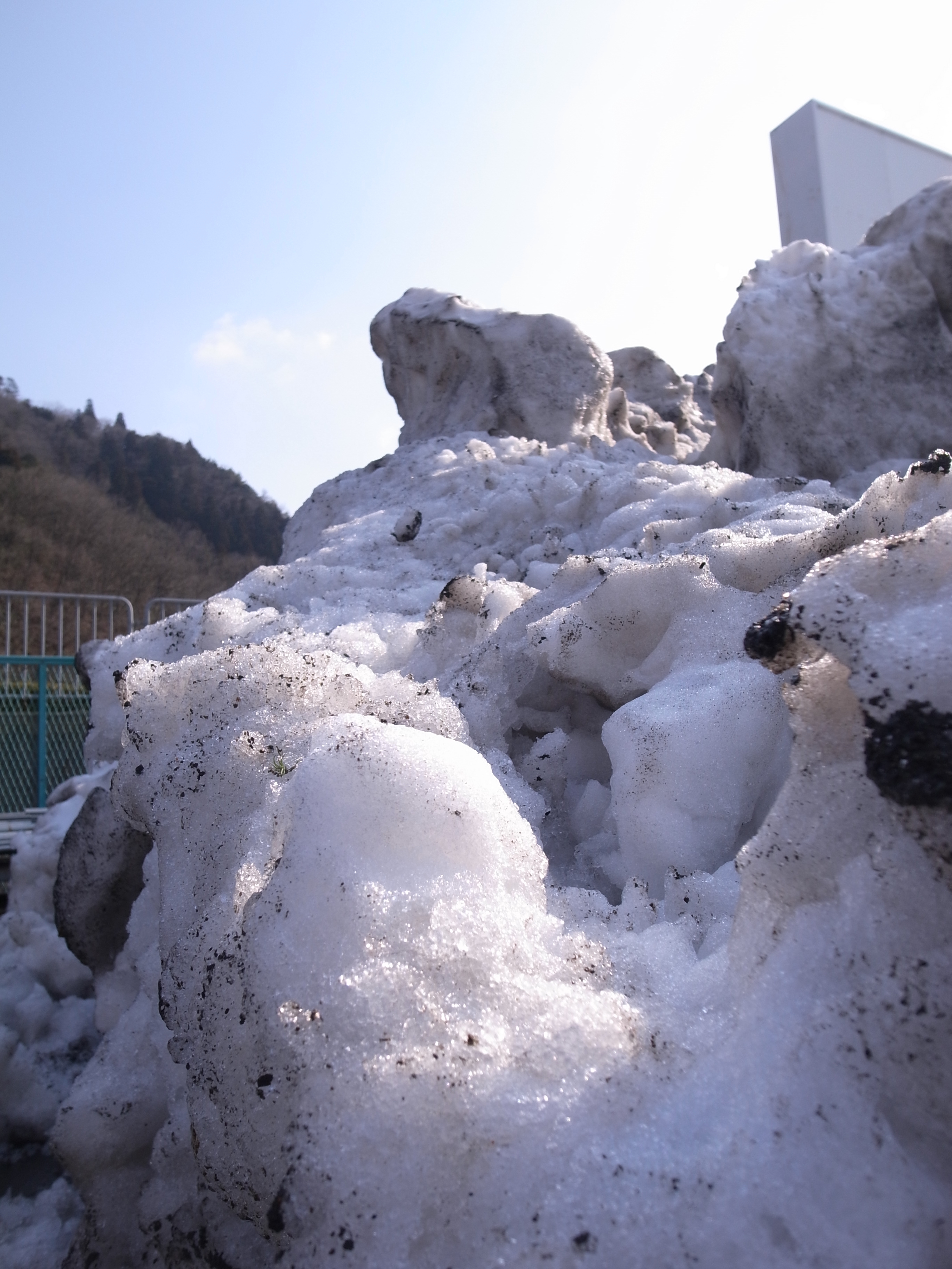 ikekatsu120224_0001.JPG