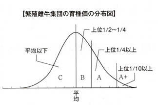 seriichi_bunpuzu.jpg