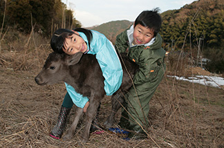 tajimagyutoha01.jpg