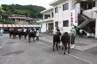 100903kamityou1.jpg