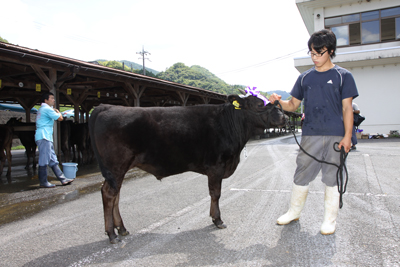 100903kamityou3.jpg