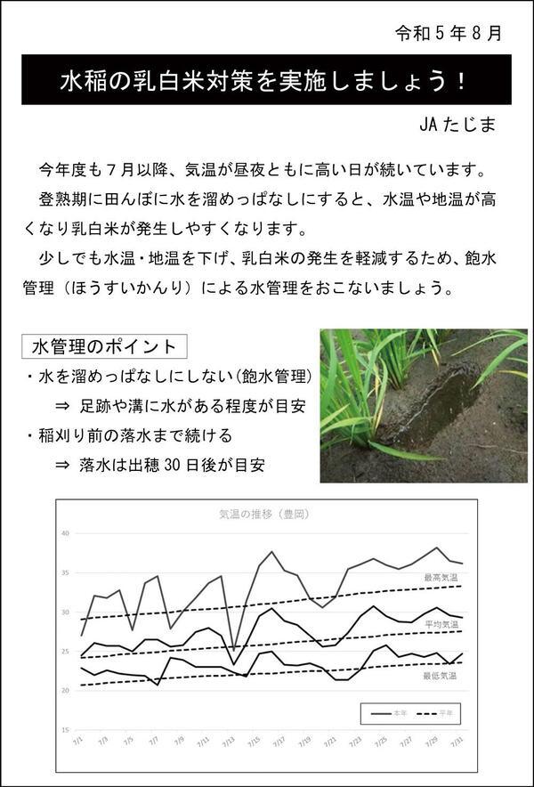 230803水稲乳白米対策（掲示用）.jpg