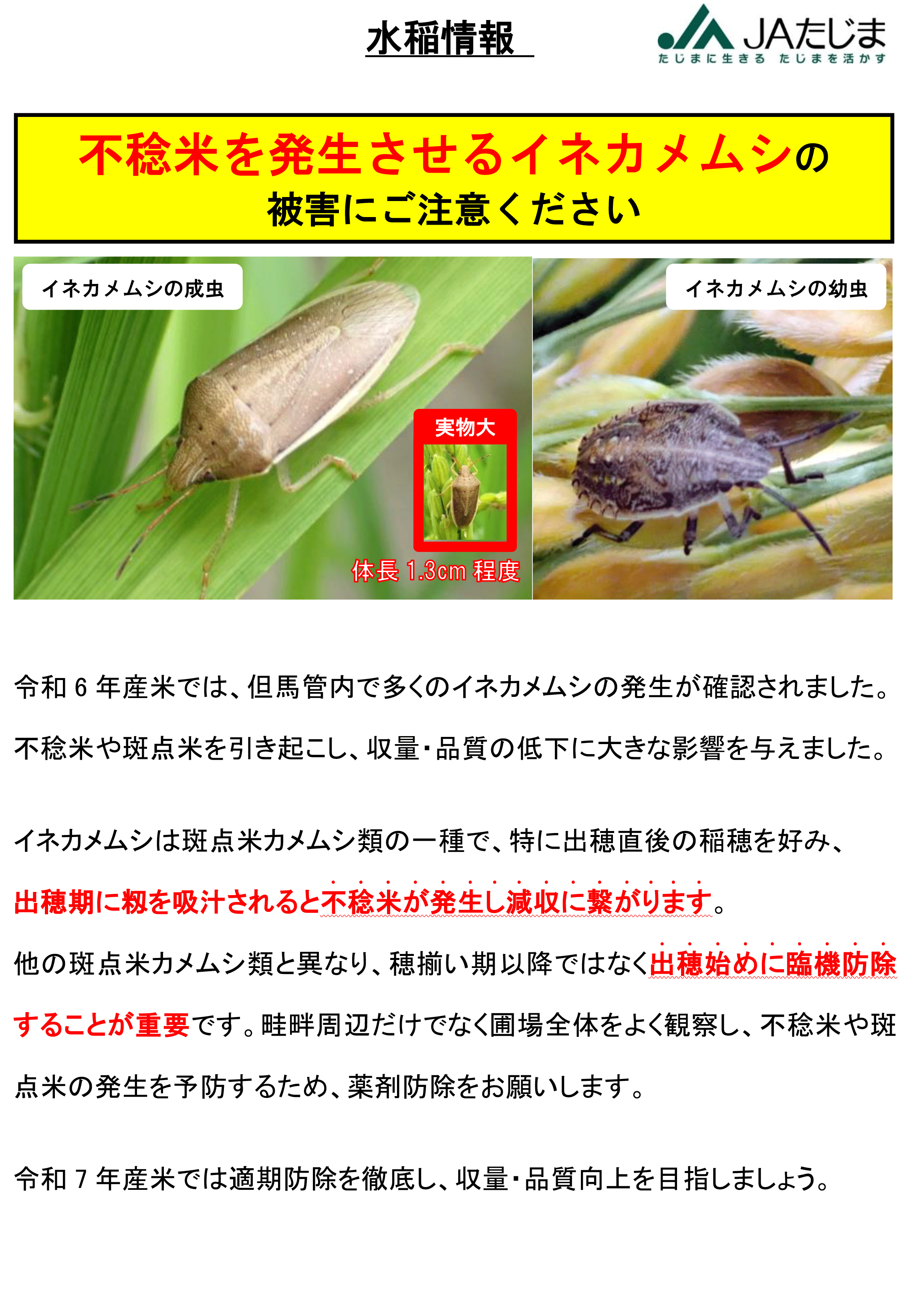 ◆水稲情報（イネカメムシ）-1.png