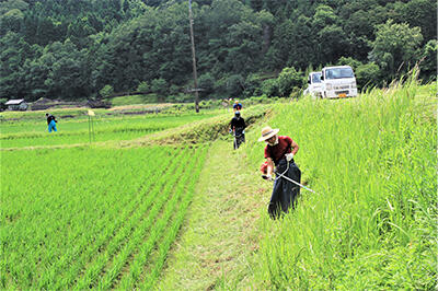 香住鶴.jpg