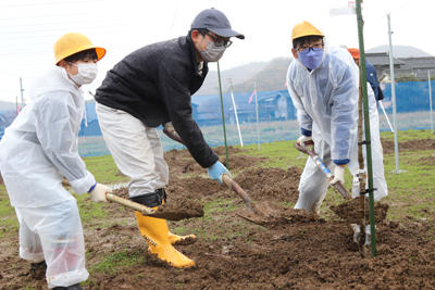 211126JAたじま　香住まったナシ奧佐津小学校なしおとめ植樹体験.jpg