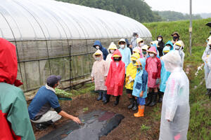 220614JAたじま　八代オクラ定植体験.jpg