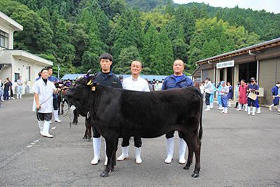 200924JAたじま　第89回美方郡種牛共進会.jpg