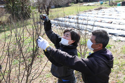 210303JAたじま　朝倉さんしょ職員向け剪定講習会.jpg