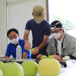 220819JAたじま　香住梨品位検討会.jpg