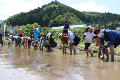 220514JAたじま　つちかおり米産地交流会.jpg