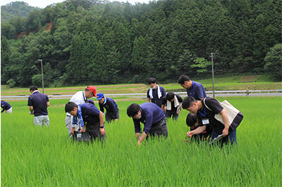 230707水稲栽培現地研修会.jpg