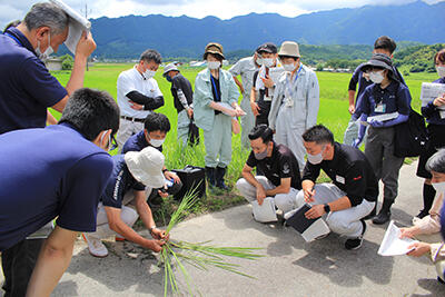 220706水稲栽培現地研修会.jpg