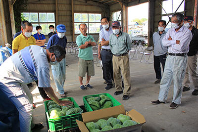 220603神鍋高原キャベツ出荷説明会.jpg