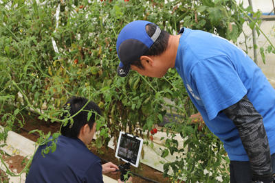 210914JAたじま　おおや高原有機野菜産地交流会.jpg