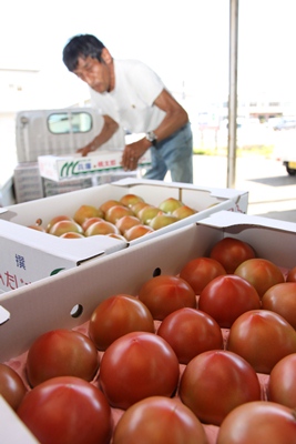 130612tomato2.jpg