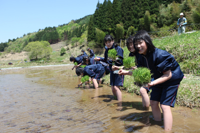 140508muraokatyu1.jpg