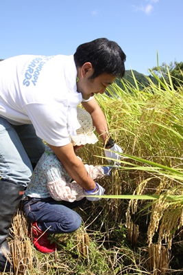 140907izumiya2.jpg