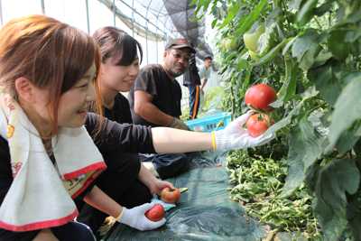 160617tomato1.jpg