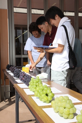 160910grape.jpg