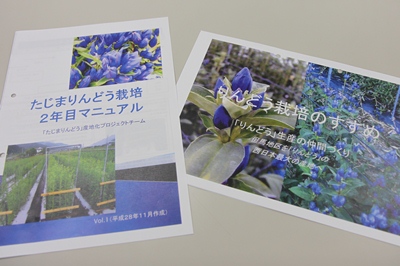 たじまりんどうの適正な管理を学ぶ 活動レポート たじまで農業 Jaたじま たじまりんどうの適正な管理を学ぶ 活動レポート たじまで農業 Jaたじま