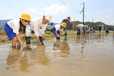 170523fukunohana2.jpg