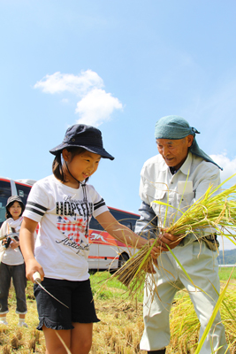 170909izumiyainekari1.jpg