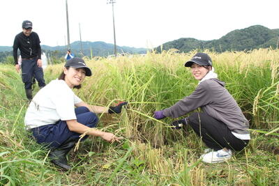 250904 JAたじま　連携強化へ　稲刈り研修　JJエリアセンター但馬.jpg