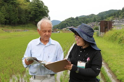 250609JAたじま　高温と害虫対策で米の品質向上を、各地で水稲あぜ道相談会.jpg