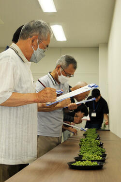 240729JAたじま　朝倉さんしょ品評会.jpg