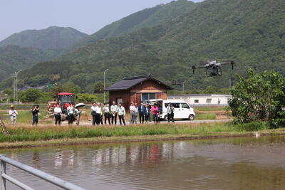 【HP用】250520JAたじま　ドローン湛水直播で農業の省力化を、朝来農業改良普及センターら.jpg