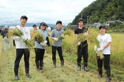 JAたじま　沖縄の取引先社員が産地訪れ稲刈り体験　JAたじま・コウノトリ育むお米 .jpg