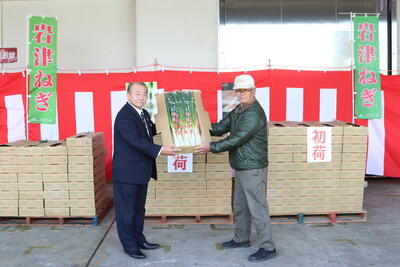 251122JAたじま　特産「岩津ねぎ」初出荷、180トン出荷目指す、兵庫・JAたじま.jpg