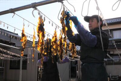 HP260316JAたじま 地域の関係人口増加へ、他分野から地域滞在型体験を学ぶ、農泊現地研修を開催、兵庫・JJエリアセンター但馬.jpg