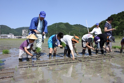 140517tajimamai-taue.jpg