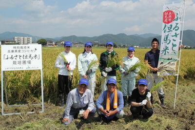 HP250917JAたじま　大手米卸㈱神明と「ふるさと但馬米」収穫で交流、ふるさと但馬米振興会、兵庫・JAたじま .jpg