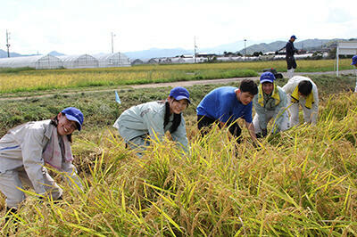 230913JAたじま　ふるさと但馬米産地研修会.JPG