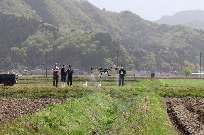 JAたじま　畔や畦畔の雑草を酢で抑草　0413.jpg